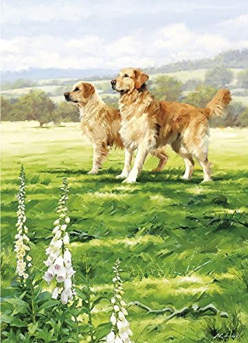 Golden Retriever Chien Carte De Vœux Joyeux Anniversaire Amazon Fr Fournitures De Bureau