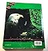 BIOLOGY- GOD'S LIVING CREATION-SECOND EDITION