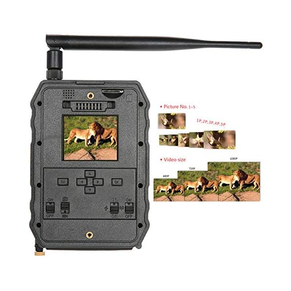 Tierkamera Wildkamera Fotofalle Jagdkamera Trail Wildlife Kamera 12MP HD Spielkameras 1080P Digital Jagdkamera 940NM… – Bild 6