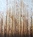 Qintec Photography Backdrops Nostalgia Wood Photo Backdrop for Photography Studio Video Shooting 5x7ft