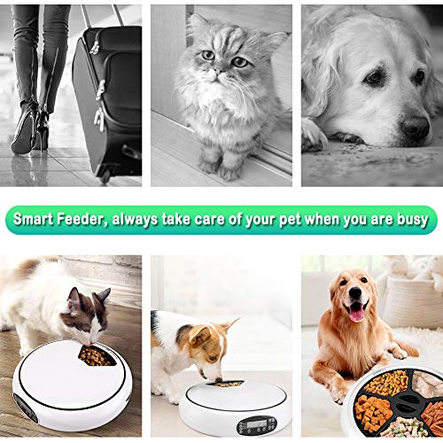 Pet Automatic Feeder Cats Dogs, Food Dispenser Timed Feed Bowl, 5 Meal Trays Dry Wet,Voice Recorder,LCD Smart Programmable Self Container Digital Clock, Portion Control (Auto Feeder)