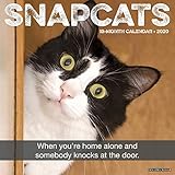 Snapcats 2020 Wall Calendar by 