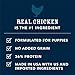 Amazon Brand - Wag Grain Free Dry Dog Food for Puppies, Chicken and Lentil Recipe (5 lb. Bag) Trial
