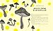 Lewis Carroll's Alice's Adventures in Wonderland: With Artwork by Yayoi Kusama (A Penguin Classics Hardcover)