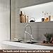 GAPPO Kitchen Faucet with Pull Out Sprayer, Drink Water Filter Function Brushed Nickel