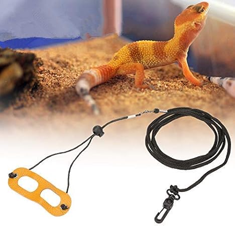 gecko leash