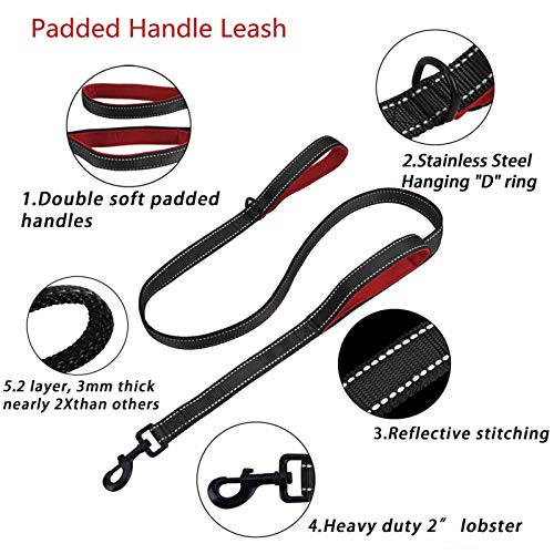 Dual Dog Leash Double Dog Leash, Multifunctional Detachable Leash for 1 or 2 Dogs, No Tangle Shock Absorbing Bungee Walking Lead with Two Handles Bonus Funny Waste Bag Dispenser for Dogs Up to 180lbs