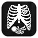Pregnant Skeleton Baby Maternity Theme Costume Ladies T-Shirt XL Black [PPP]