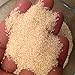 Atacora - Fair Trade Raw Fonio Low Glycemic Index Ancient African Grain (Gluten-Free) - 16 Oz.