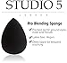 Blending Sponge Trio Set by Studio 5 Cosmetics (3 Sponge Set)