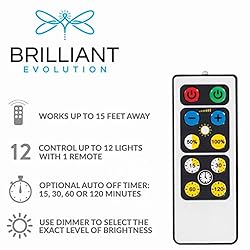 Brilliant Evolution Warm White Wireless LED Light