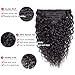 Water Wave Curly Clip ins Brazilian Grade 8A Virgin Remy Water Curly Human Hair Extensions Double Weft 1B Natural Black Color for Black Women 8Pcs/lot 120g/set Apeasex (12 Inch, Water Wave)