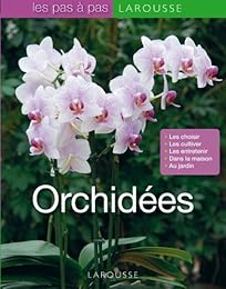 Orchidées