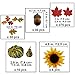 Supla 451 Pcs Fall Pumpkin Leaf Decoration Vase Filler Bowl Filler Mini Pumpkin Gourd Acorns Sunflower Heads Autumn Oak Leaf Maple Leaf for Wedding Thanksgiving Halloween Harvest Party Table Decor