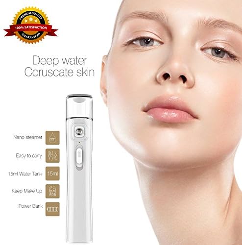 NanoSteamer - Handy Cool Mist Facial Sprayer - Mini 2-in-1 Rechargeable NanoSteamer - Atomization Eyelash Beauty Instrument …