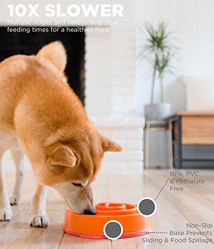 Outward Hound Fun Feeder Slow Bowl - Image 4
