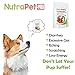 NutraPet Probiotics for Dogs Soft Chews - Prebiotics - Diarrhea, Dog Allergies, Gas, Dog Breath, Constipation - Delicious Chicken Liver Dog Probiotic That Your Pup Will Love! - 60 Count