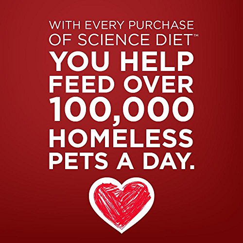 image for Hill's Science Diet Fruit Dog Treats, Crunchy Fruity Snacks with Cranb