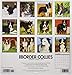 Just Border Collies 2019 Wall Calendar (Dog Breed Calendar)