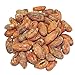 Indus Organics Raw Cacao Beans, 1 Lb Bag, Freshly Harvested, Sulfite Free, No Added Sugar, Premium Grade, High Purity, Freshly Packed