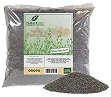 KOSHER Whole Poppy Seeds - Dried Seed of Papaver Somniferum L From Holland (2 Pounds)