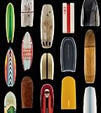 Surf Craft: Design and the Culture of Board Riding (The MIT Press)