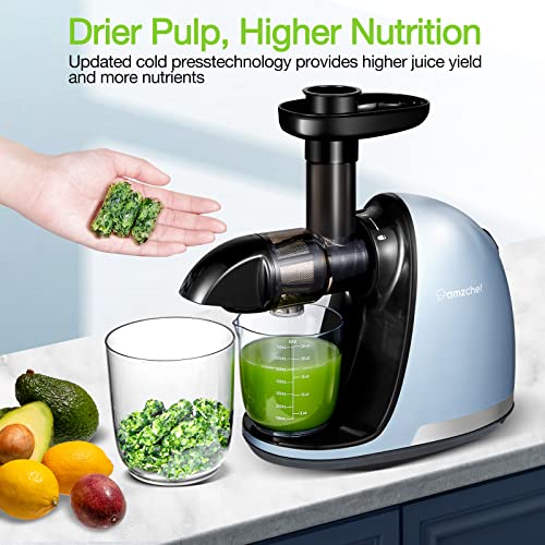 Slow Juicer,AMZCHEF Slow Masticating Juicer Extractor Professional