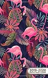 2019-2020 Monthly Pocket Planner: Two-Year Tropical Flamingo Monthly Planner with Phone Book, Passwo by Nifty Planners, Pink Planners