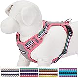 Blueberry Pet 4 Colors Soft & Comfortable 3M Reflective Multi-colored Stripe Padded Dog Harness Vest, Chest Girth 19.5