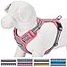 Blueberry Pet 4 Colors Soft & Comfortable 3M Reflective Multi-colored Stripe Padded Dog Harness Vest, Chest Girth 19.5