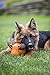 HuggLeHOUNDS Ruff-Tex Squeaky Tough Dog Chew Toy All Natural, Moose, Large