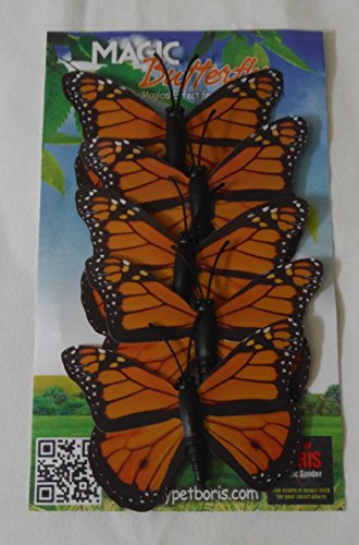 Magic Butterfly for My Pet Boris