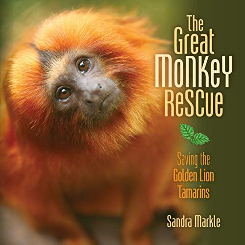 The Great Monkey Rescue: Saving the Golden Lion Tamarins (Sandra Markle's Science Discoveries)