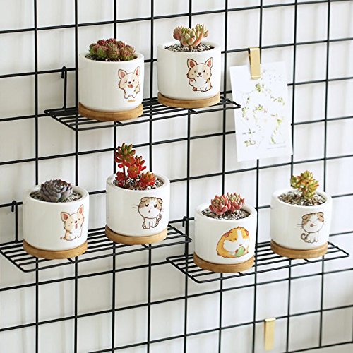 image for ANZOME Straight Shelf, Wall Shelf with Hook, Wire Shelving for Grid Pa