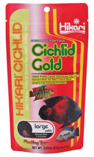 Hikari Cichlid Gold Floating Pellets