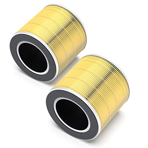 【Official Authentic】 RENPHO True HEPA Replacement Filter for RPAP089W