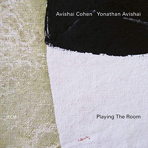 Playing the Room en promo sur Amazon