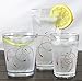 Corelle Coordinates by Reston Lloyd Splendor Acrylic Rock Glasses, 14-Ounce, Set of 6