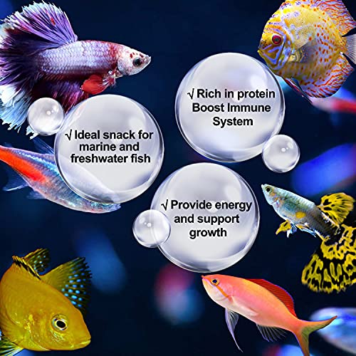 Amzey Dried Silkworm Pupae for Bearded Dragon, Chicken, Koi, Fish