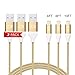 Lightning Cable, TOBETB 3PACK (4FT/6FT/10FT) Nylon Braided Charging Cable Cord Lightning to USB Cable Charger Compatible with iPhone X/7/ 7 Plus/6/6s/6 plus/6s plus/ 5s/5c, iPad, iPod and More