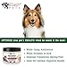 Wangou Pawesome Hemp Calming Treats for Dogs - 120 Soft Chews - Made in USA with Hemp Oil - Dog Anxiety Relief - Natural Separation Aid - Stress Relief - Fireworks - Storms - Aggressive Behavior - Barking