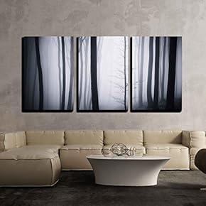 3 Piece Canvas Wall Art - Abstract Mysterious Halloween Forest with Fog - Modern Home Art Stretched and Framed Ready to Hang - 16"x24"x3 Panels