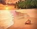 Simply Calendar 2017 Open Wall Calendar, 18.5-Inch x 10.5-Inch, #03- Sun Surf Sand