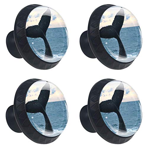 Glass Hervey Bay TOPRated Best Glass Hervey Bay