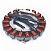 Carbman 15/20 Amp Magneto Stator for Kohler 237878-S 54 755 09S 234859 237329 237330 primary
