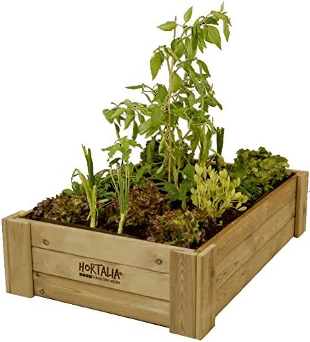 Hortalia Huerto Urbano Jardinera BOX BASIC M30 80x80x30 160 l: Amazon.es: Jardín