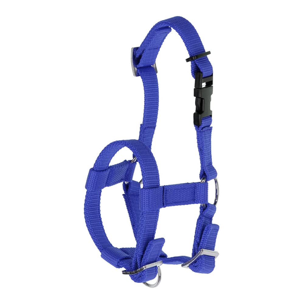 Kerbl Adjustable halter for alpaca