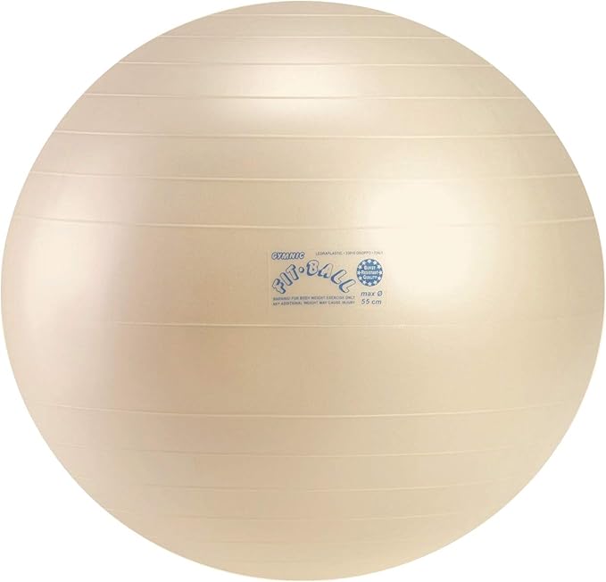 Amazon ギムニクフィットボール55 バランスボールフィット55 ギムニク Gymnic バランスボール