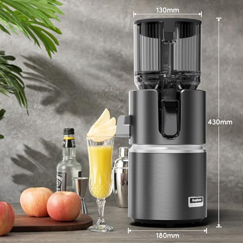 Anybear 350W Cold Press Juicer, 4.9" Chute, BPA-Free, Whole Fruits/Veggies | Dual slow-squeeze preserves 100% vitamins. High-torque motor powers fibrous produce. BPA-free, 3-step clean, 5-yr warranty.
