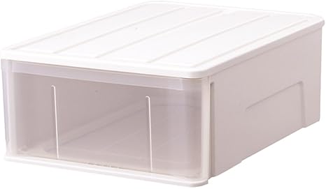 Amazon 天馬 たっぷり収納ケース 55s W 幅40 奥行55 高さcm 収納ケース ボックス オンライン通販